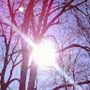 Meet your Posher, Marie